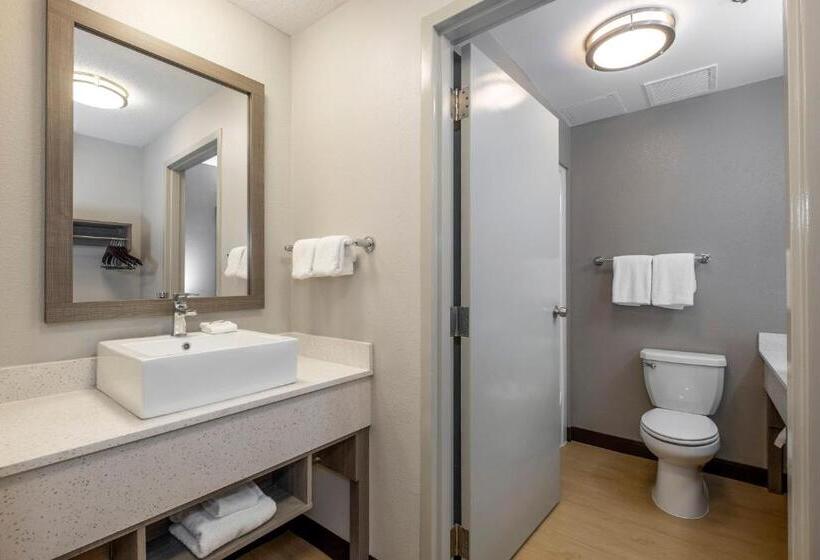 Номер Deluxe, Red Roof Inn Plus Boston   Mansfield   Foxboro