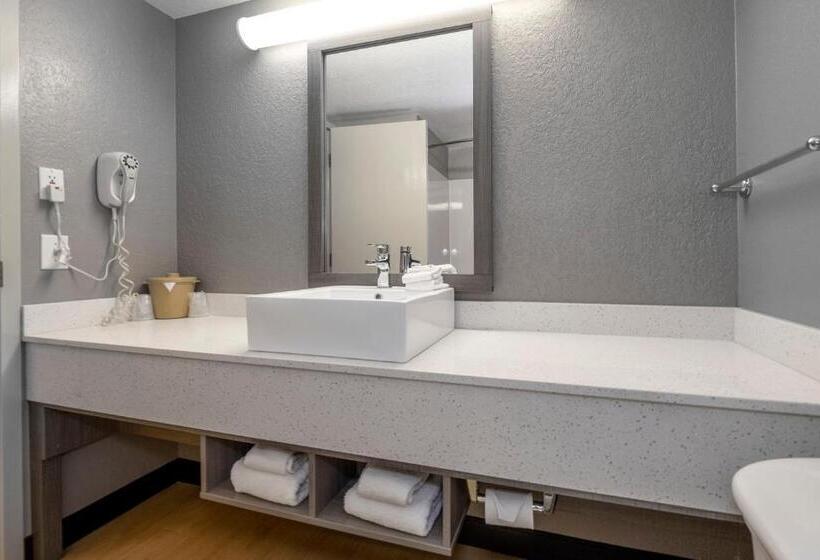 Номер Премиум, Red Roof Inn Plus Boston   Mansfield   Foxboro