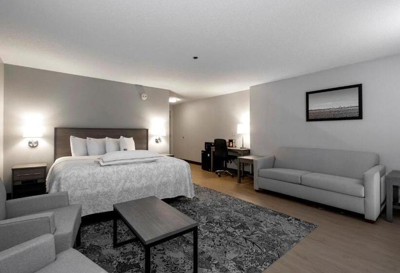 Номер Стандарт Адаптированный для Инвалидов, Red Roof Inn Plus Boston   Mansfield   Foxboro