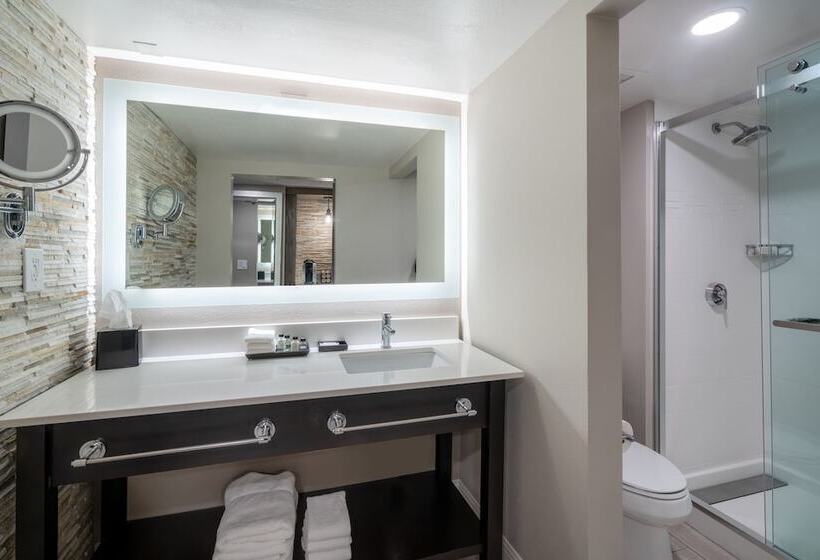 Номер Стандарт Двуспальная Кровать, Crowne Plaza Atlanta Sw   Peachtree City, An Ihg