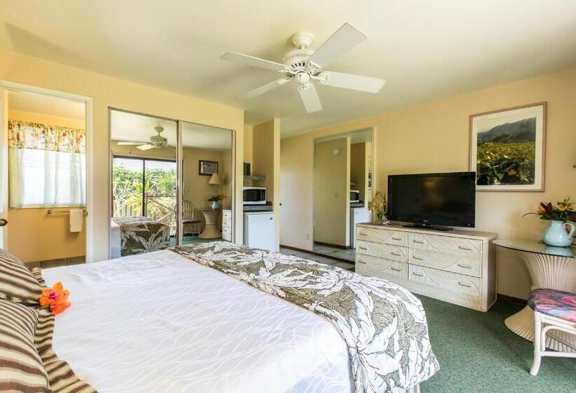 스탠다드 룸 킹사이즈 침대, Kauai Inn