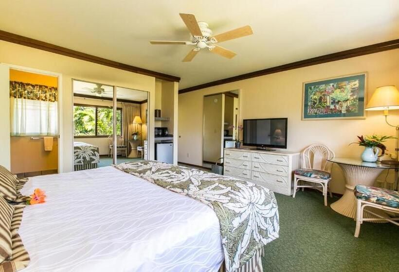 스탠다드 룸 킹사이즈 침대, Kauai Inn
