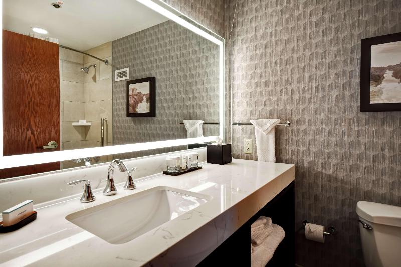 Люкс Премиум, Embassy Suites Little Rock