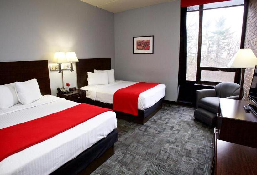Номер Стандарт, Rutgers University Inn And Conference Center