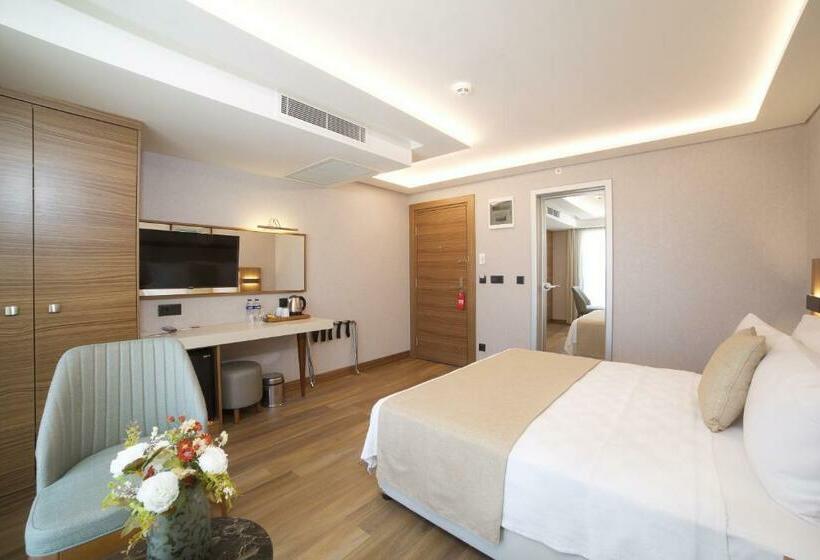 スタンダードルーム, Erboy Hotel Istanbul Sirkeci