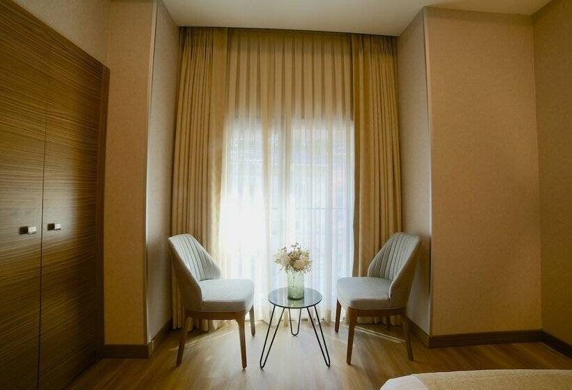 スタンダードルーム, Erboy Hotel Istanbul Sirkeci