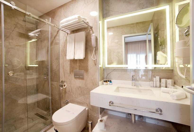 スタンダードルーム, Erboy Hotel Istanbul Sirkeci