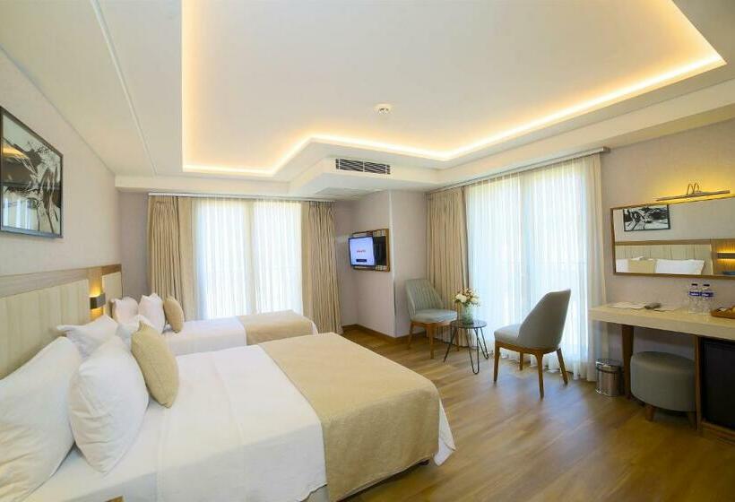 スタンダードトリプルルーム, Erboy Hotel Istanbul Sirkeci