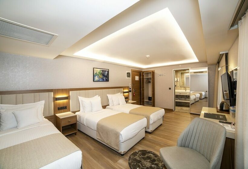 スタンダードトリプルルーム, Erboy Hotel Istanbul Sirkeci