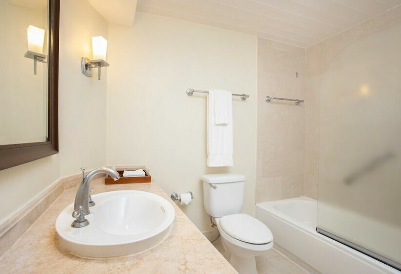 سوییت با چشم‌انداز باغ, Turtle Beach By Elegant Hotels   All Inclusive