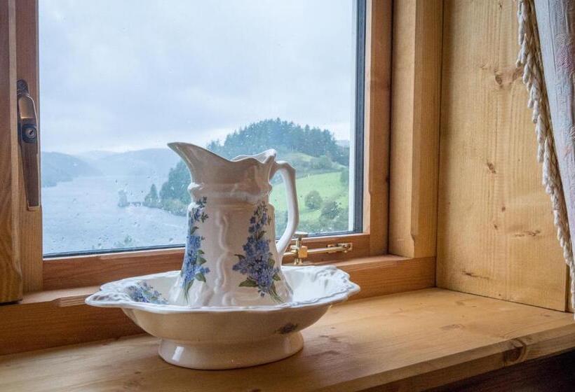 Номер Стандарт Вид на Озеро, Lake Vyrnwy Hotel & Spa