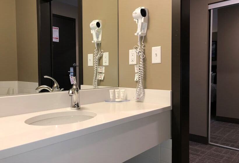 デラックスルーム, Canad Inns Destination Centre Windsor Park