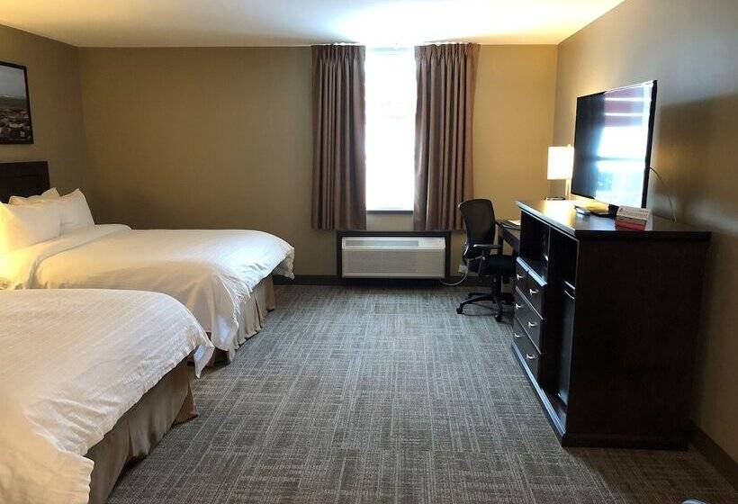 デラックスルーム, Canad Inns Destination Centre Windsor Park