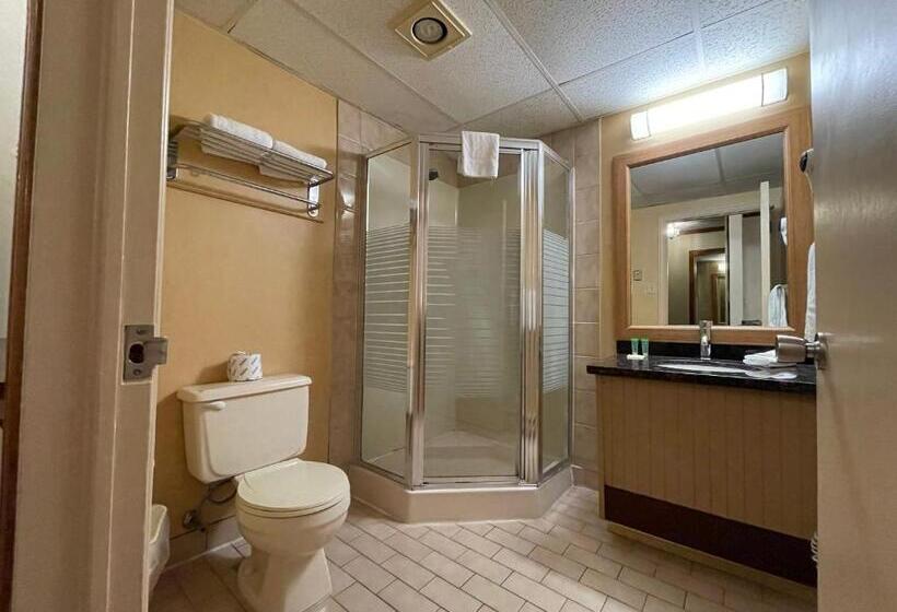 带大床的套房, Super 8 By Wyndham Gananoque   Country Squire Resort