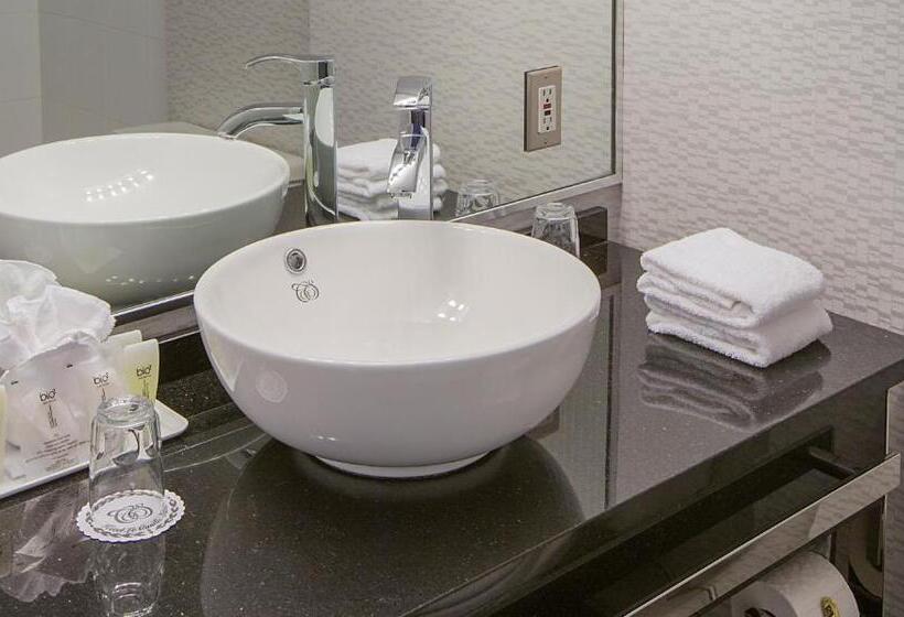 キングサイドベッドのスタンダードワンルーム, Hôtel Le Cantlie Suites