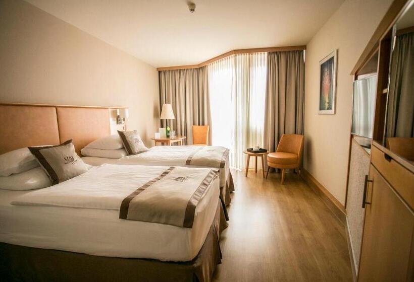 スタンダードルーム, Lotus Therme Hotel & Spa