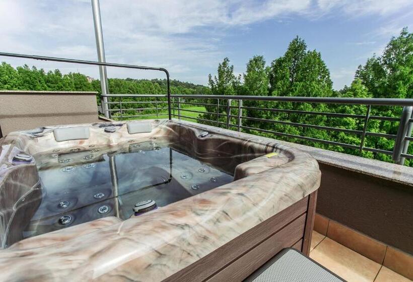 Номер Стандарт с Гидромассажем, Lotus Therme Hotel & Spa