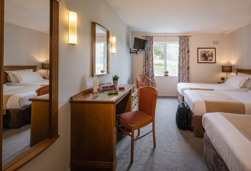 Номер Стандарт Трехместный, Downhill Inn