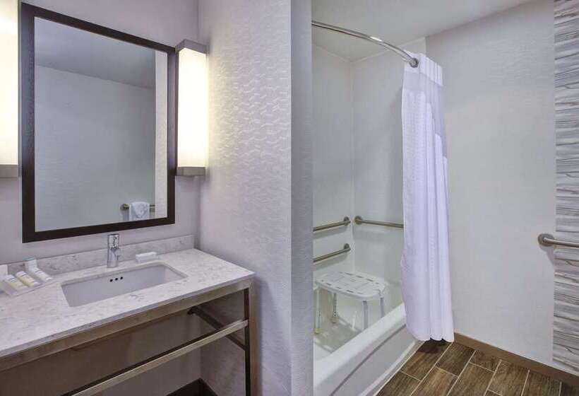 اتاق استاندارد با تخت بزرگ برای معلولان, Tru By Hilton Georgetown