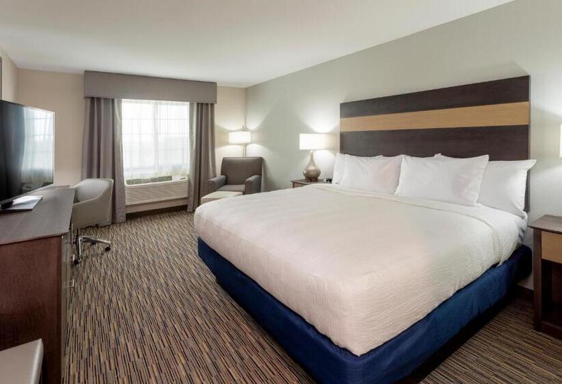 스탠다드 룸 킹사이즈 침대, Grandstay Hotel & Suites Rock Valley