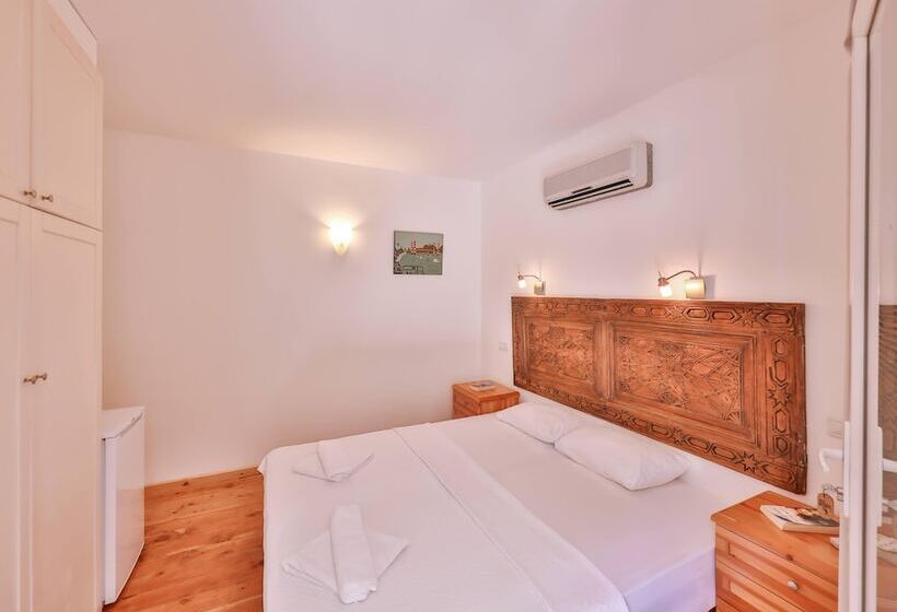 Economy Zimmer, Luna Kaş
