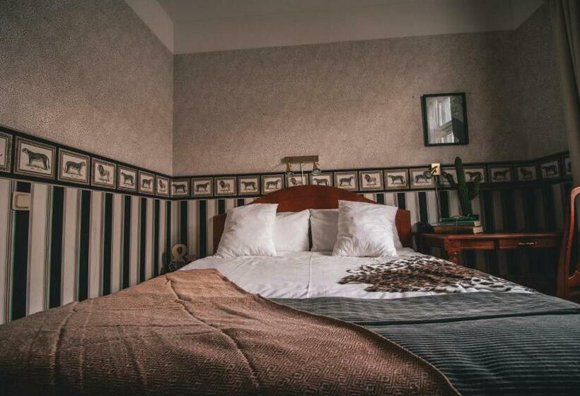 标准单人间, Mojo Hotell