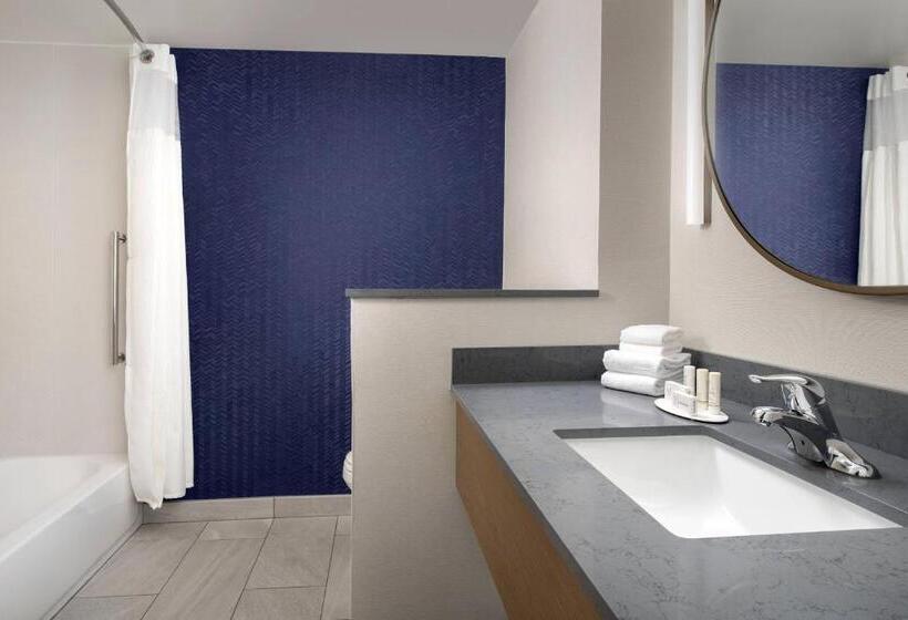 Номер Стандарт, Fairfield Inn & Suites By Marriott New Orleans Metairie