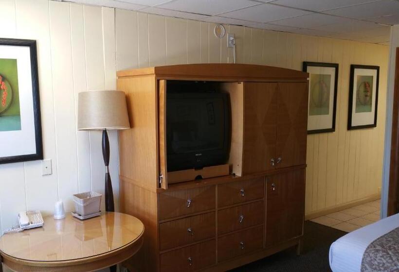 스탠다드 룸, The Amethyst Beach Motel
