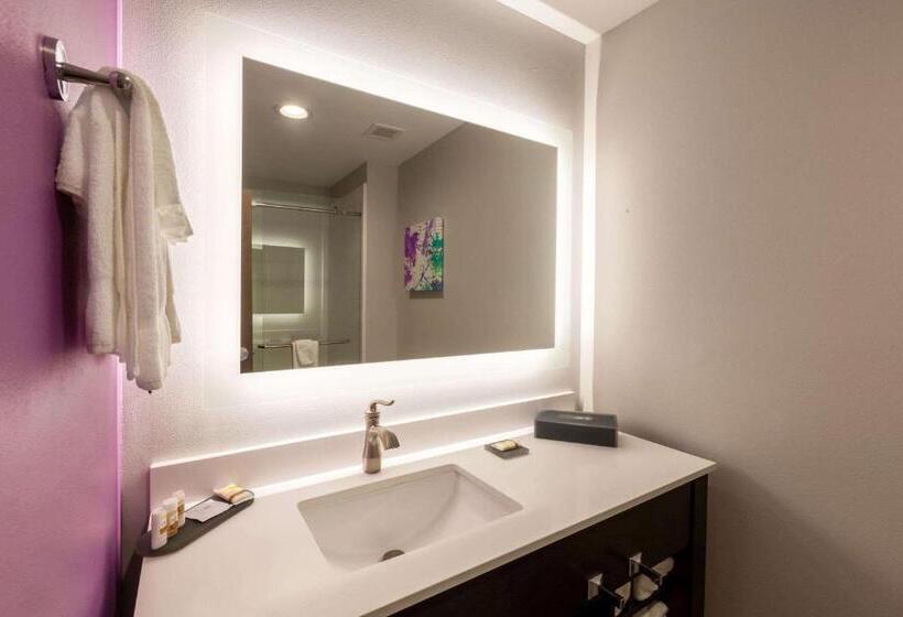 Номер Стандарт Кровать Кинг Адаптированный для Инвалидов, La Quinta Inn & Suites By Wyndham Lafayette Oil Center
