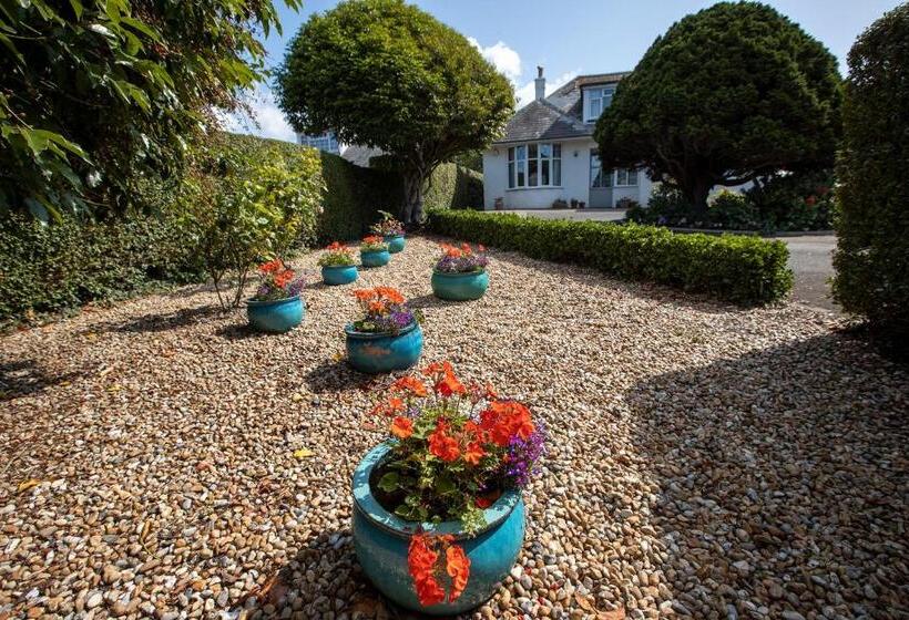 اتاق سوپریور, Eypeleaze B & B