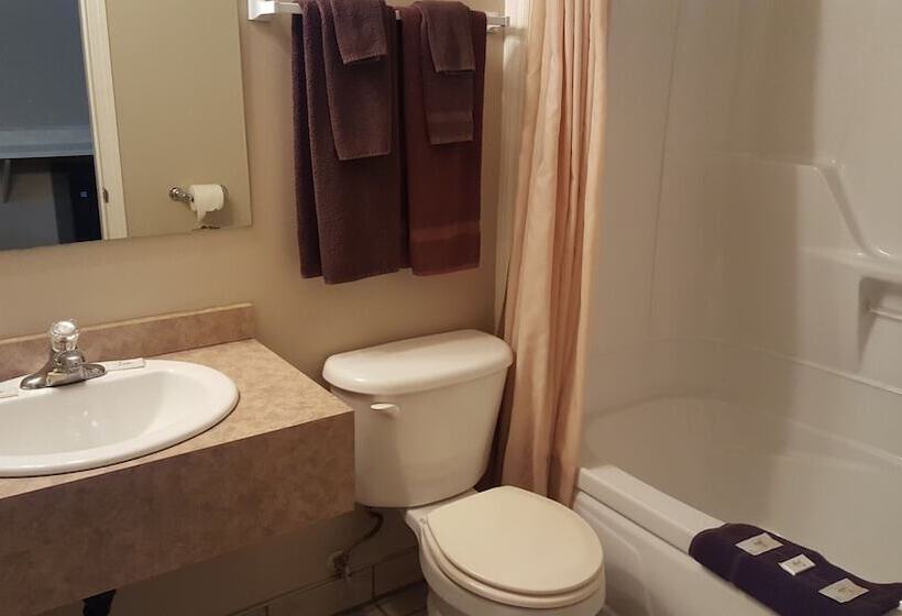 ２ダブルベッドのスタンダードルーム, Aspen Motor Inn