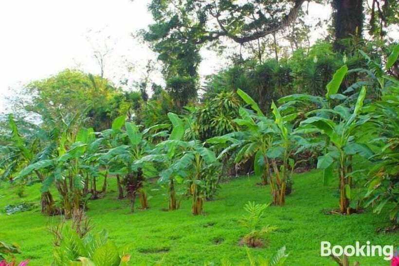 标准间带双人床, Ceiba Tree Lodge