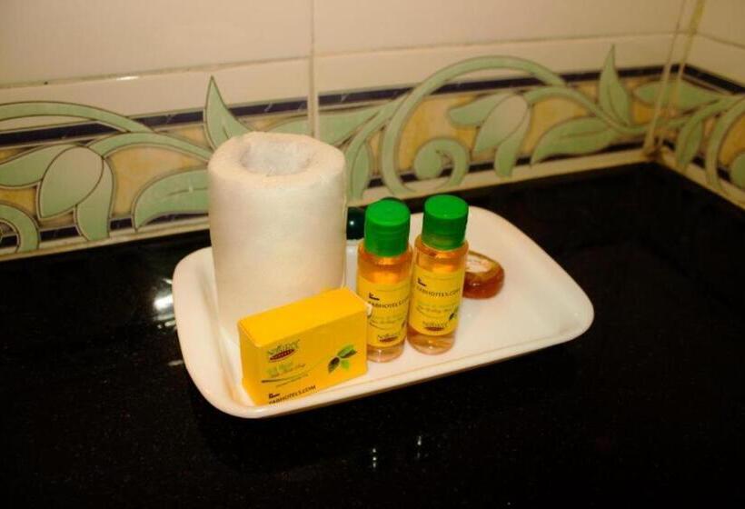 Люкс, Fabhotel Raj Residency Ii