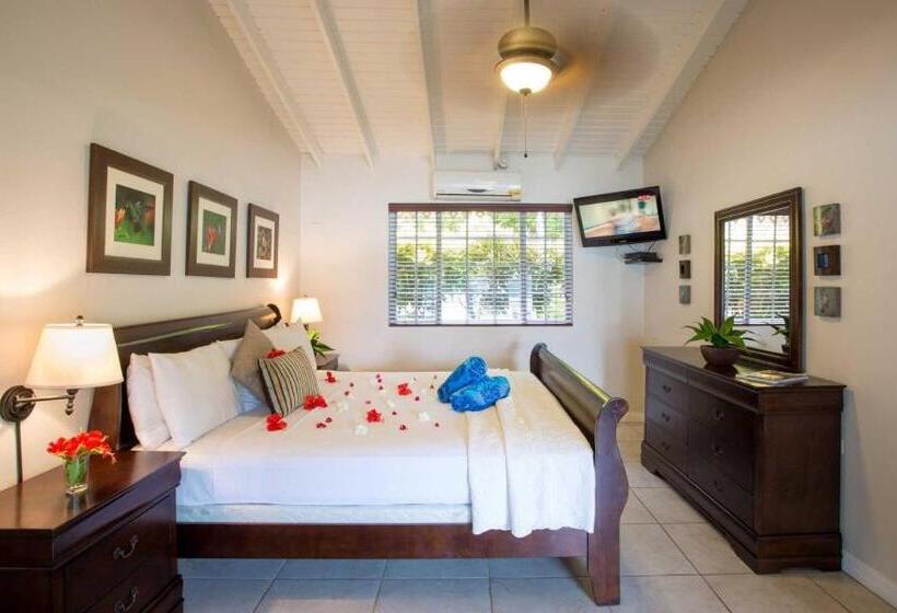 استودیو لوکس با چشم‌انداز دریا, Blue Waters Inn