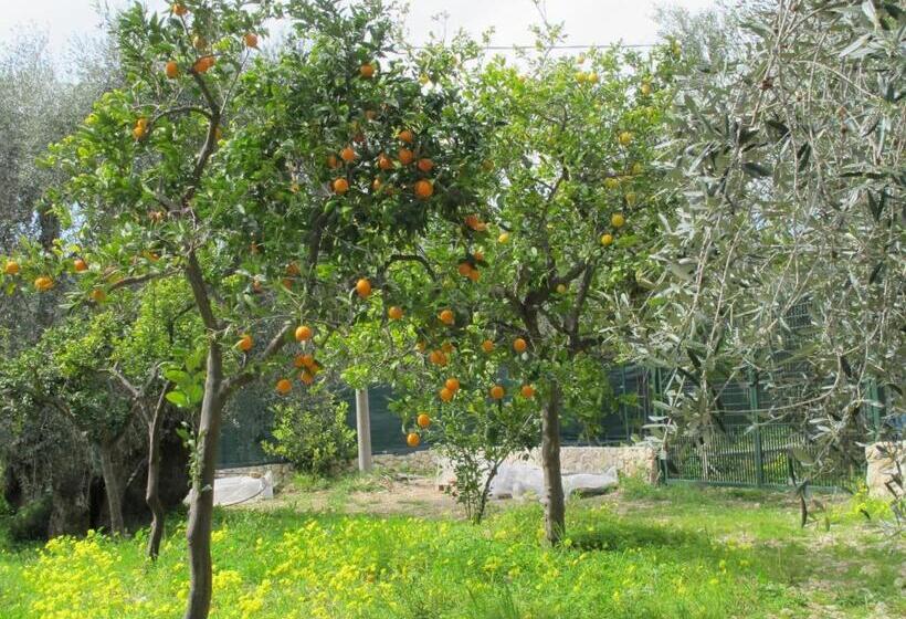 Дом 1 Спальня, Tenuta Santa Maria