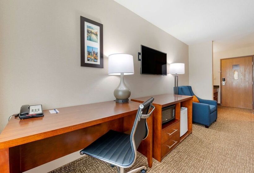 带2个双人床的标准工作室, Comfort Inn Anderson South