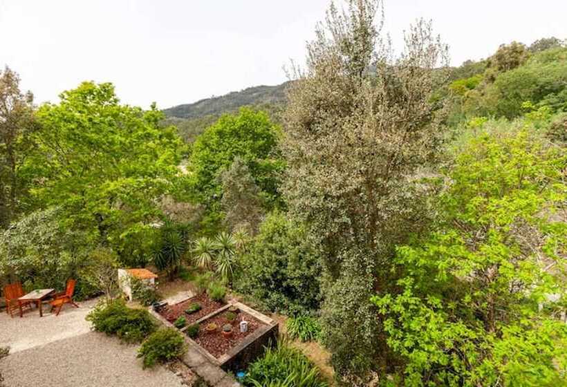 غرفة قياسية, Casa Do Cabeço