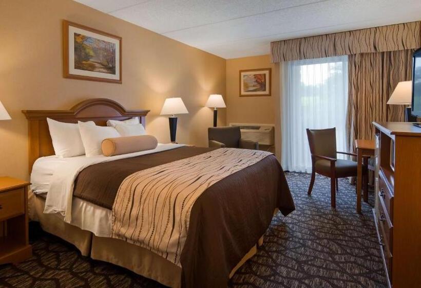 Номер Стандарт, Best Western Clifton Park