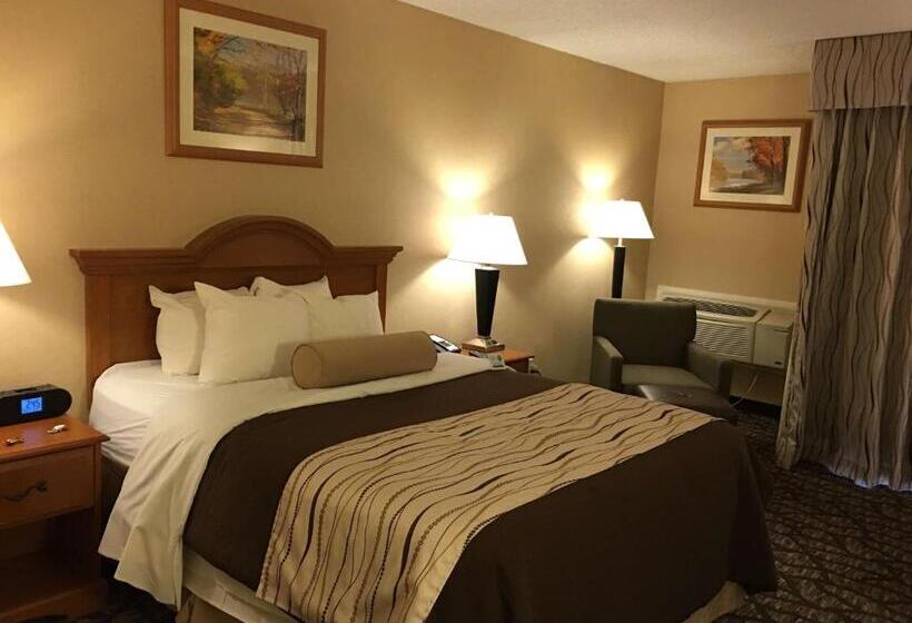 Номер Стандарт с Гидромассажем, Best Western Clifton Park