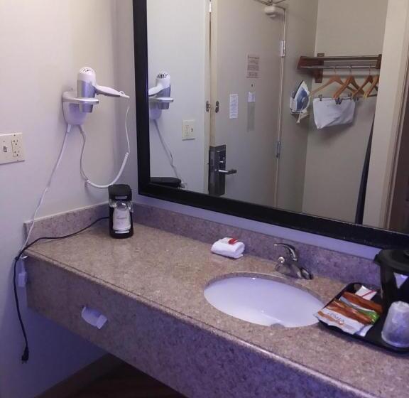 Executive Szoba King Size Bed, Travelodge By Wyndham Columbus State University