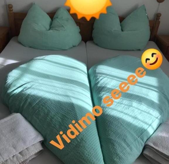 スタンダードルーム, Vidimo Se