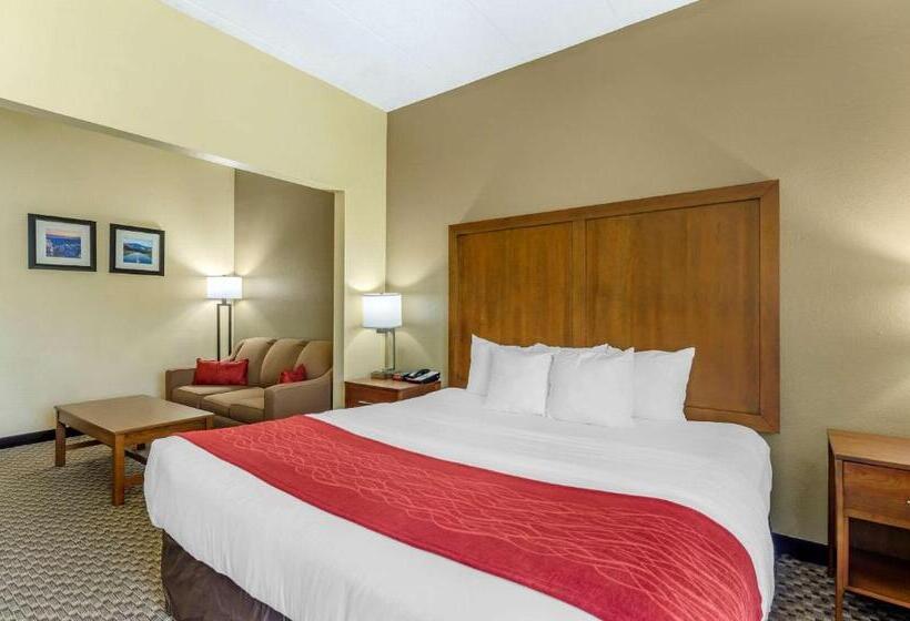 Стандартный Номер Кровать Кинг, Comfort Inn
