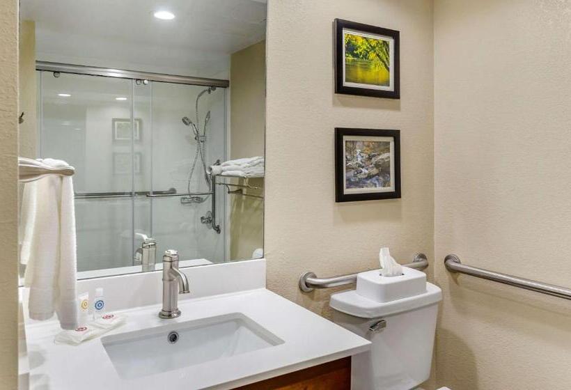 Номер Стандарт Кровать Кинг Адаптированный для Инвалидов, Comfort Inn