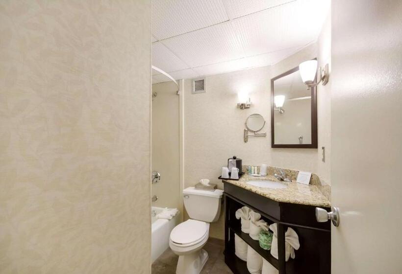 Стандартный Номер Кровать Кинг, Exton Hotel And Conference Center