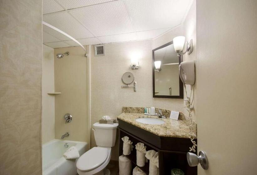 Номер Deluxe Кровать Кинг, Exton Hotel And Conference Center