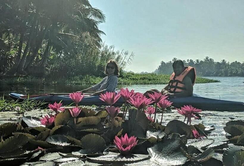 اتاق استاندارد اینتریور, Sunsets And Palm Trees