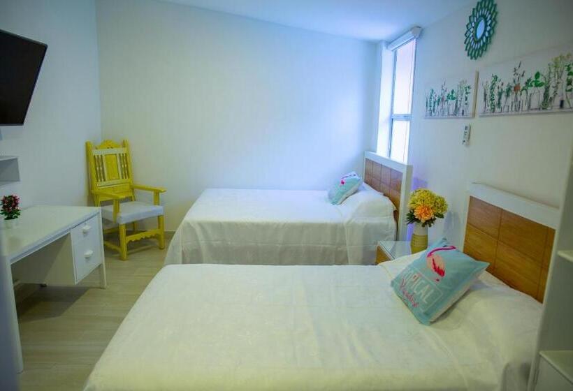غرفه قياسيه سريرين مزدوجين, Casana