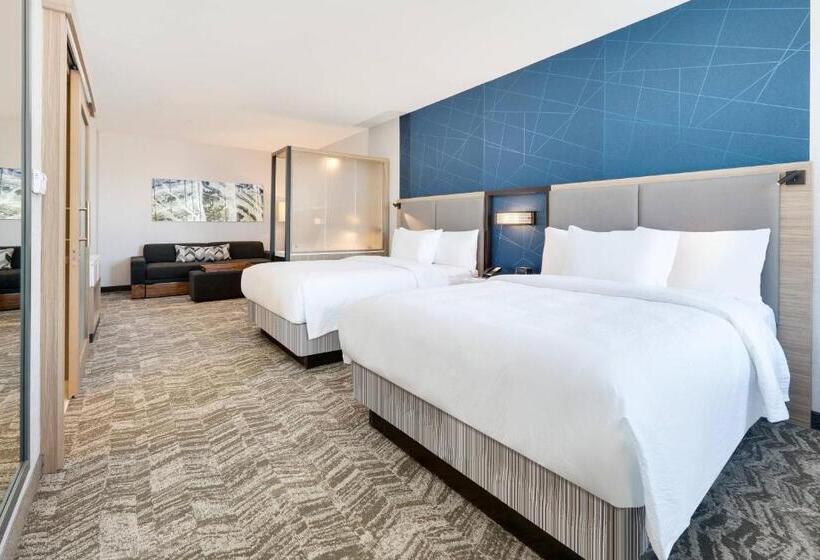 Люкс, Springhill Suites By Marriott Dallas Mansfield