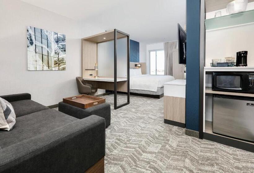 Люкс Кровать Кинг, Springhill Suites By Marriott Dallas Mansfield