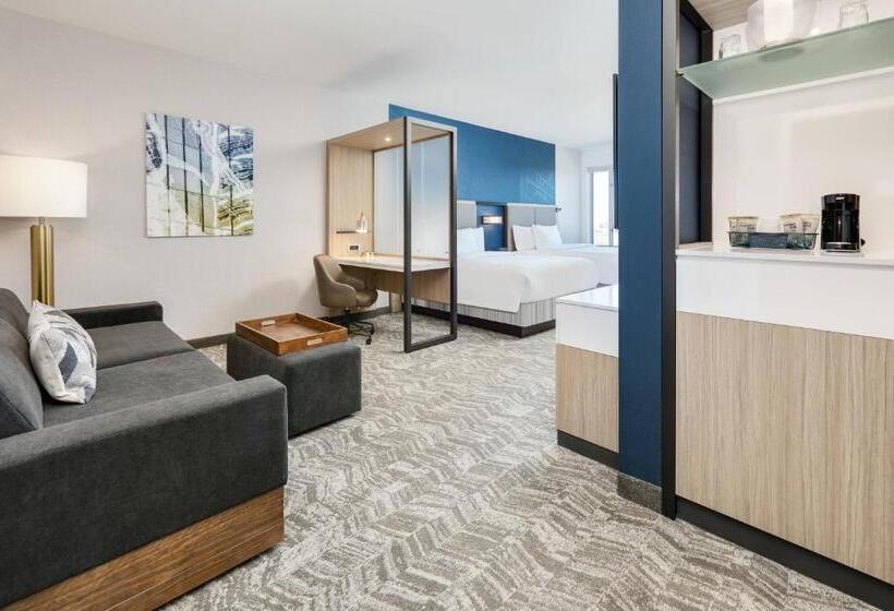 Люкс Адаптированный для Инвалидов, Springhill Suites By Marriott Dallas Mansfield